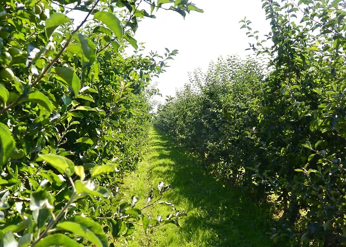 Prázdninový dům Erholung Pur In Mannis Huette